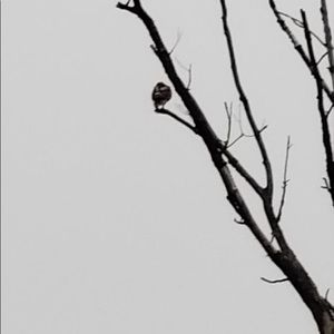 Meet your Posher, Erik